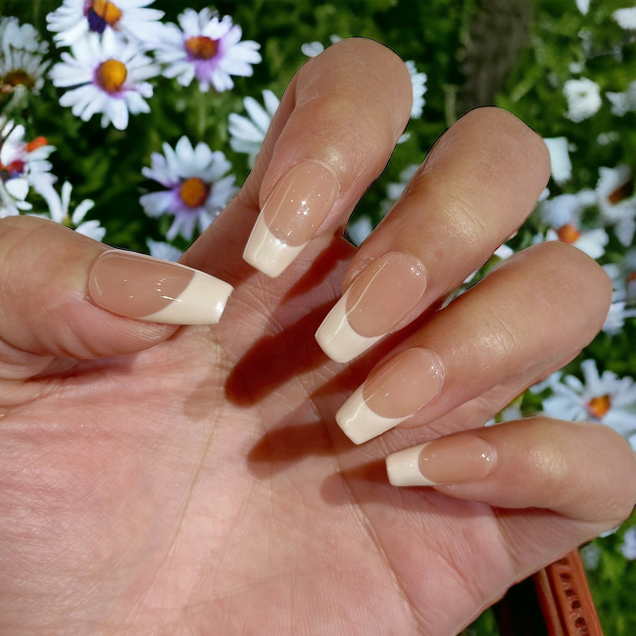 daily middle french set