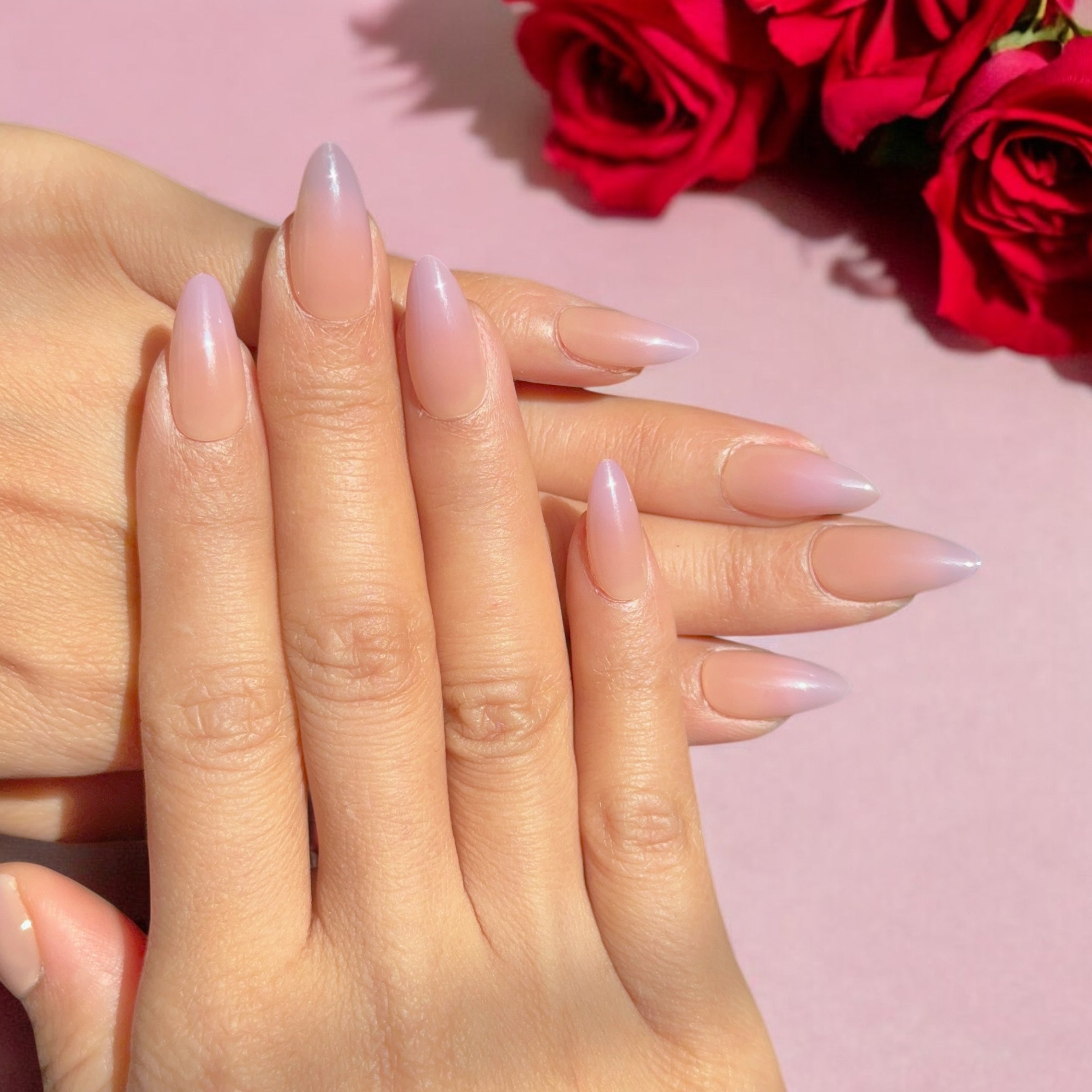 Moonlit Mauve