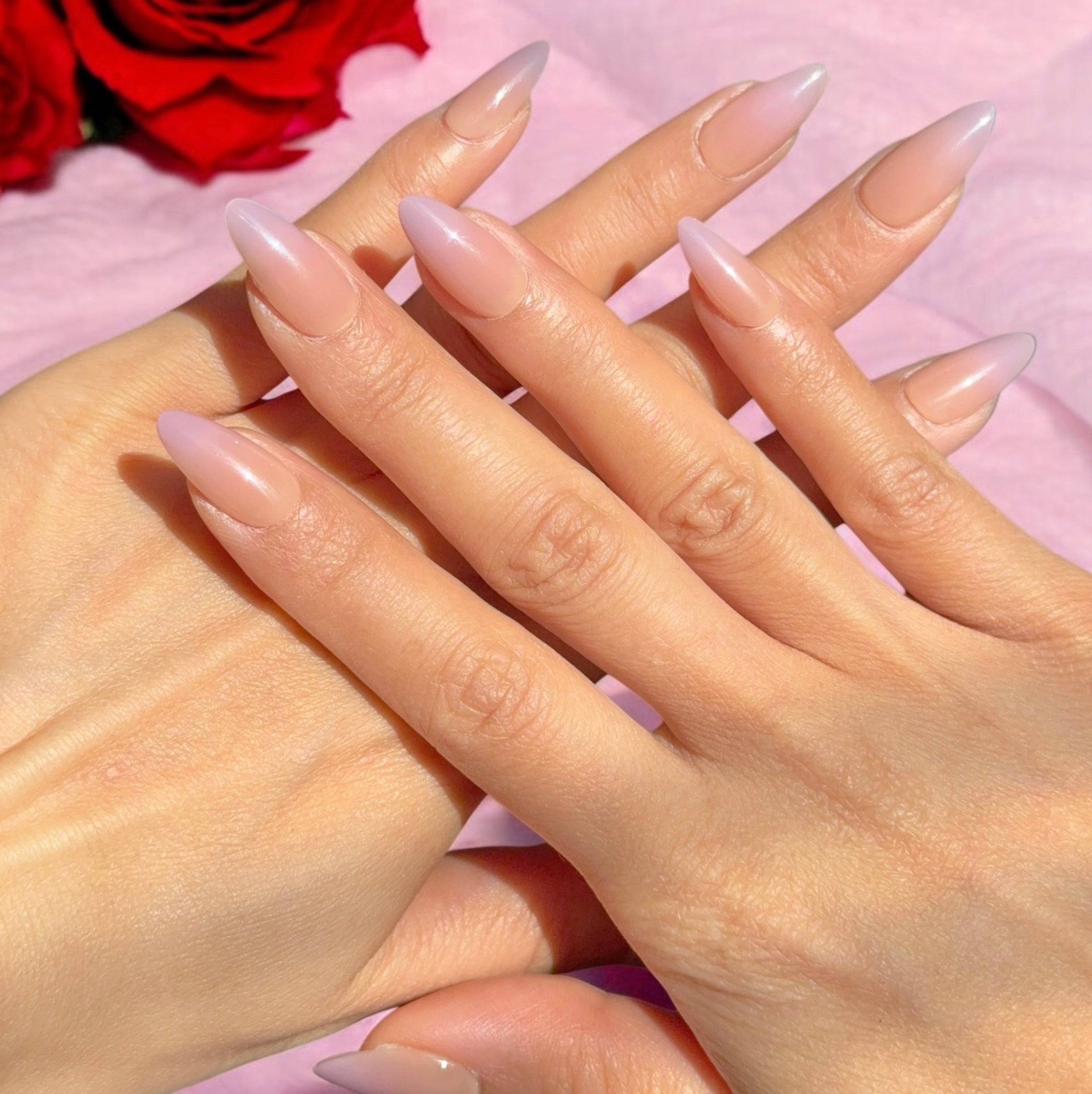 Moonlit Mauve