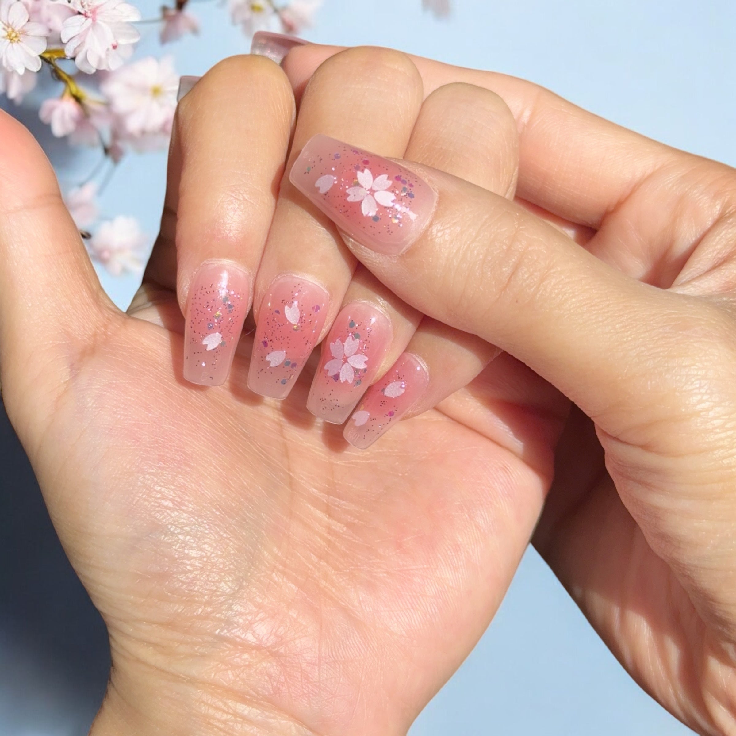 cherry blossom